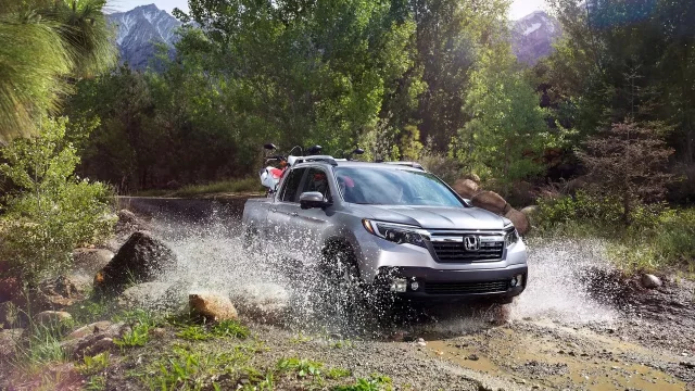 Honda řeší kuriózní svolávací akci. Její auto nesnáší obyčejný šampon