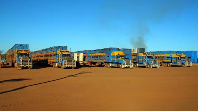 Road Trains: monstrózní unikát australských silnic