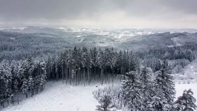 Vyrazte do zimní přírody na Vartovnu