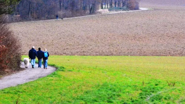 Vyrazte do přírody na naučnou stezku Hvozdná