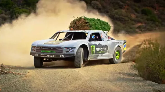 Vánoční stromek na střeše auta: Jak jej správně převážet a co říká zákon?