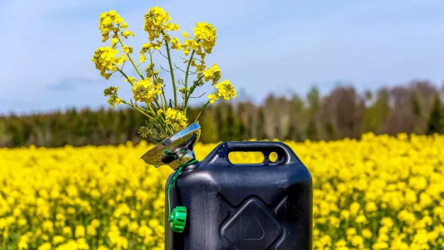 Nafta bez biosložky: Kde natankovat palivo, které nepoškozuje motor?