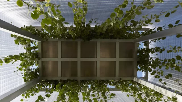 Jak vyřadit auto z provozu, aby fungovalo jako skleník?