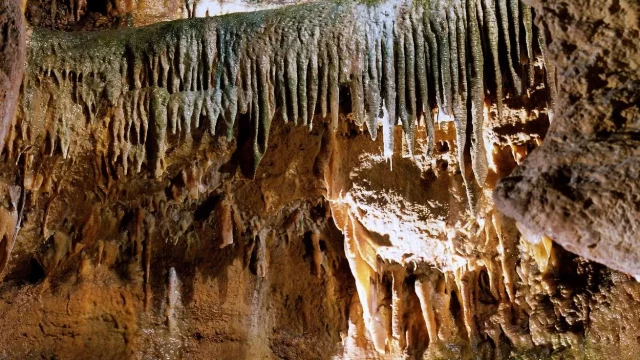 Koněpruské jeskyně – cesta časem miliony let zpět do minulosti