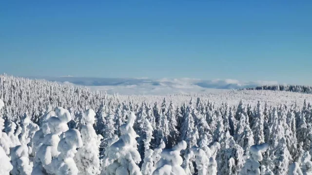 Běžkaře i milovníky zasněžených výhledů čeká na Dolní Moravě zimní království