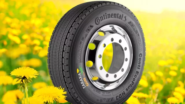 Fascinující svět gumy: Materiál známý staletí možná jednou nahradí pampelišky