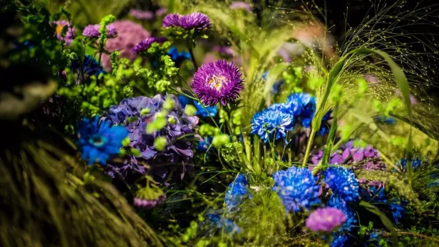 Užijte si dožínky na kroměřížské výstavě Floria