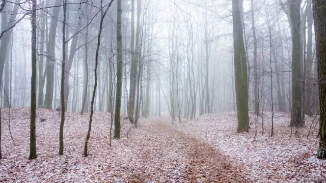 Vyrazte na zimní výlety po Středočeském kraji