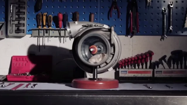 Nevíte co se starým turbem? Udělejte radost svému křečkovi!