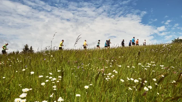 Brdy nabízejí nedotčenou přírodu, paradoxně díky vojenskému prostoru