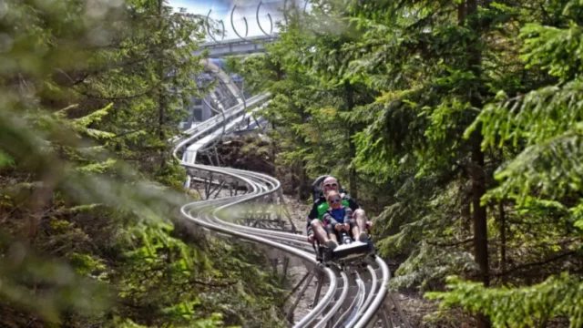 Jak si užít Dolní Moravu? Vyrazte za třemi jedinečnými atrakcemi