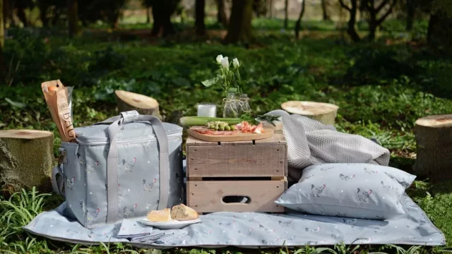 Poradíme, co si vzít s sebou na piknik