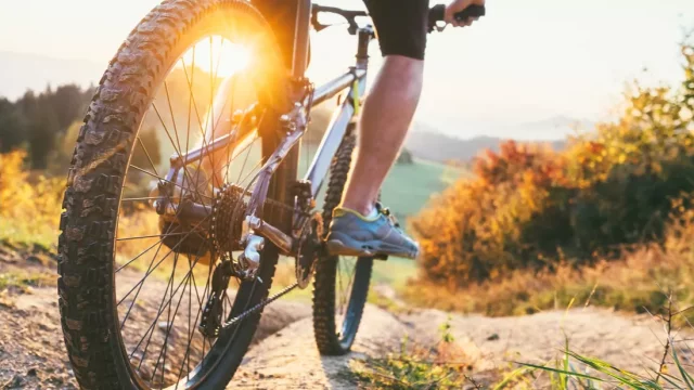 Na kole po Českolipsku