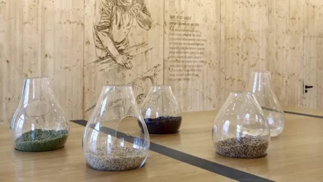 Gambrinus nabízí prohlídku pivovaru nebo soukromou párty přímo na historické varně