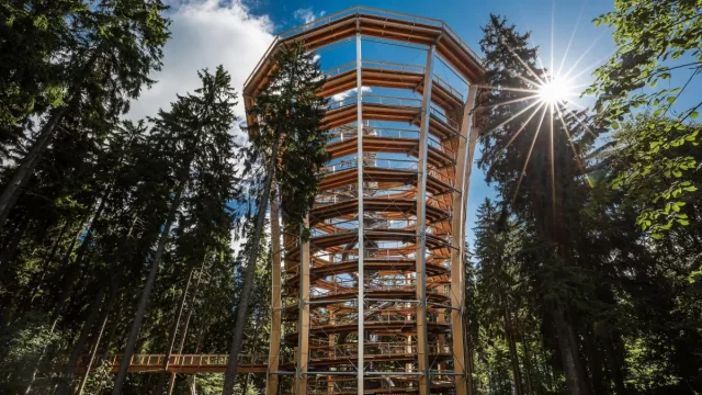 Stezka korunami stromů v Krkonoších: Naučná cesta zakončená jízdou tobogánem